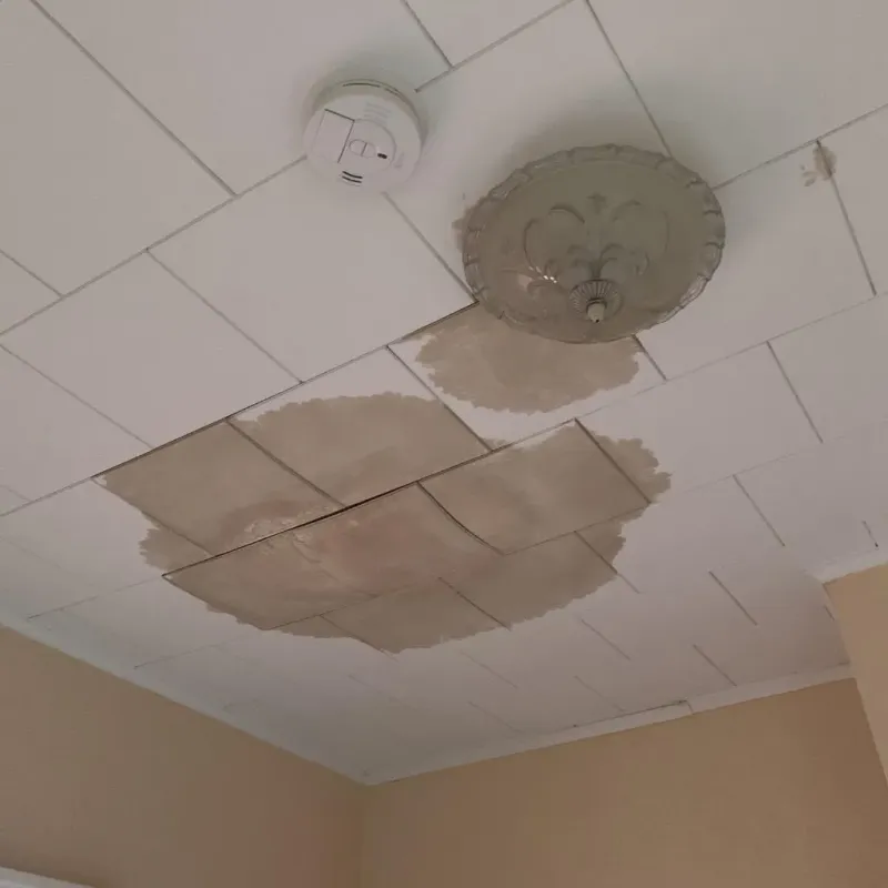 Ceiling Water Damage Repair in Morristown, VT