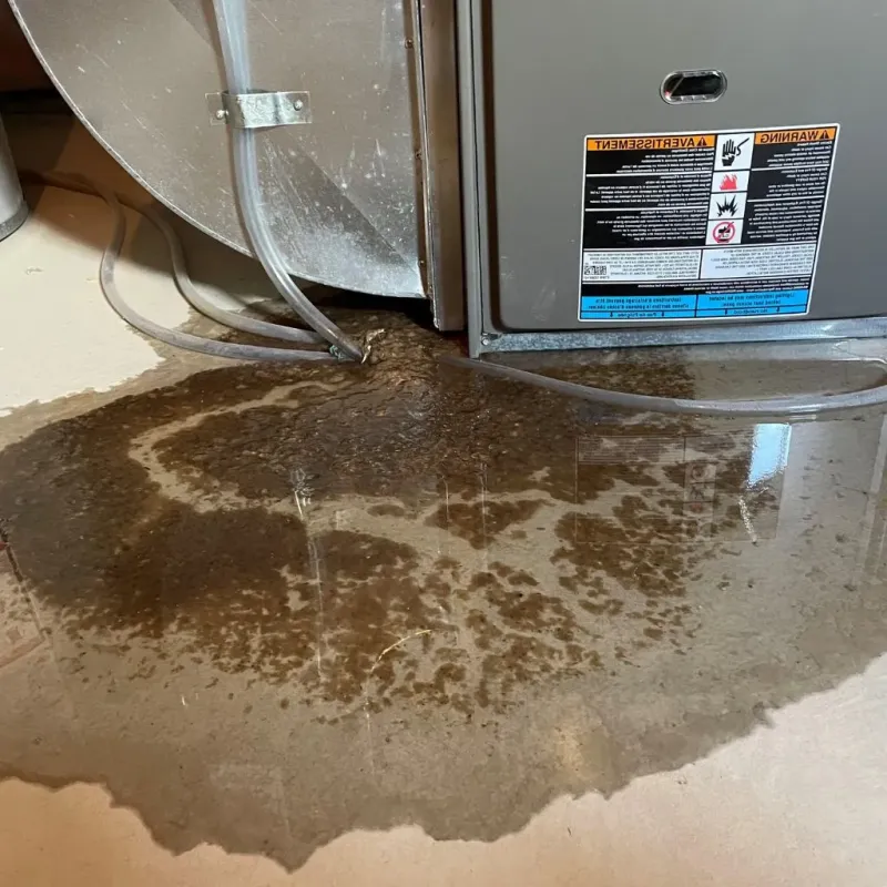 Pipe Burst and Leak Restoration in Morristown, VT