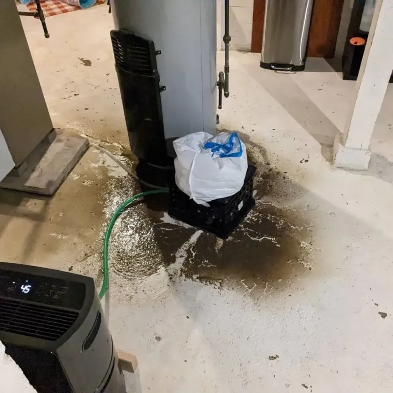 Sewage Backup Cleanup Service in Morristown, VT